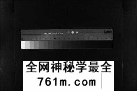 湖北陶氏族谱-陶氏宗谱 [24卷](别名：黄安陶氏宗谱、Tao Shi Zong Pu).pdf电子版