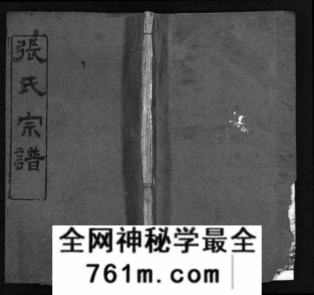 湖北张氏族谱-张氏宗谱[14卷,首3卷,末1卷](别名：Zhang Shi Zong Pu、张氏宗谱).pdf电子版