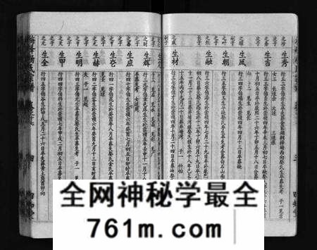 湖北杨氏族谱-梅峰杨氏宗谱(别名：Mei Feng Yang Shi Zong Pu、杨氏宗谱、杨氏八修宗谱).pdf电子版