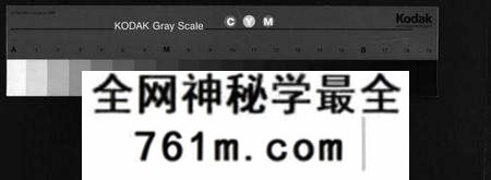 湖北王氏族谱-王氏宗谱[13卷,首3卷](别名：Wong Shi Zu Pu).pdf电子版