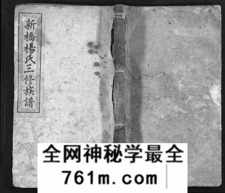 湖南杨氏族谱-新桥杨氏三修族谱 [29卷含首1卷,末1卷].pdf电子版