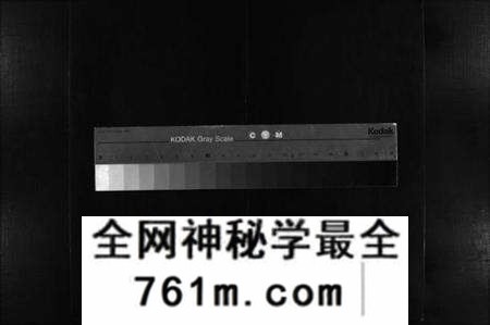 湖北项氏族谱-项氏族谱 [10卷,含首1卷](别名：Xiang Shi Zu Pu、项氏族谱).pdf电子版