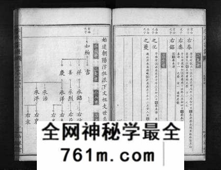 湖北李氏族谱-李氏宗谱(别名：Li Shi Zong Pu).pdf电子版