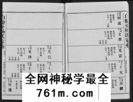 湖北杨氏族谱-白粉壁杨氏宗谱.pdf电子版