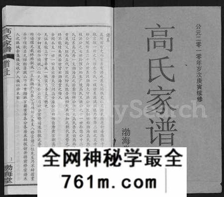 湖北高氏族谱-高氏家谱 [10卷,首2卷](别名：Gao Shi Jia Pu).pdf电子版