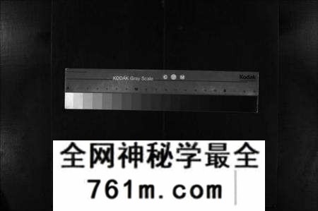湖北程氏族谱-程氏宗谱 [残卷](别名：Cheng Shi Zong Pu、程氏宗谱).pdf电子版