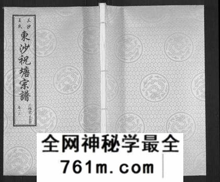 江苏王氏族谱-东沙祝塘王氏宗谱[33卷首1卷](别名：Dong Sha Zhu Tang Wang Shi Zong Pu、东沙筑塘王氏宗谱).pdf电子版