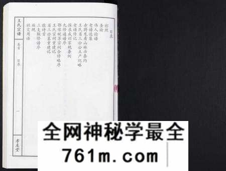 湖北王氏族谱-王氏宗谱[15卷首1卷].pdf电子版