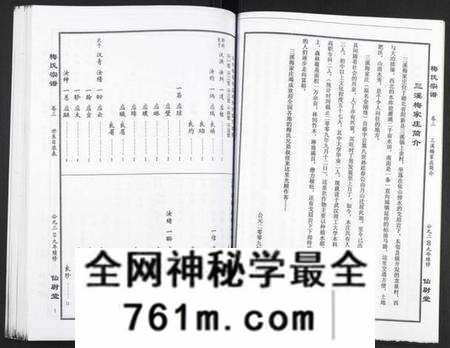 湖北梅氏族谱-梅氏大成宗谱.pdf电子版