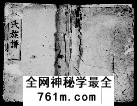 湖南林氏族谱-湖南平江林氏族谱 [16卷,首及附谱各1卷].pdf电子版