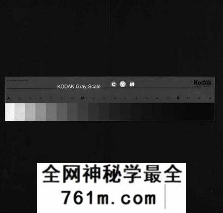 湖北陶氏族谱-陶氏宗谱[27卷,首4卷,末1卷](别名：Tao Shi Zong Pu).pdf电子版
