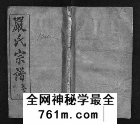 湖北严氏族谱-严氏宗谱 [9卷,首3卷](别名：Yan Shi Zong Pu、严氏宗谱).pdf电子版