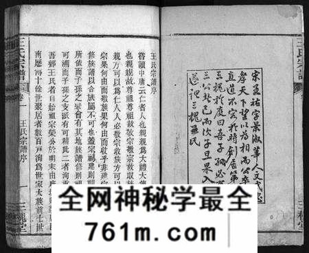 湖北王氏族谱-王氏宗谱[5卷](别名：Wang Shi Zong Pu).pdf电子版