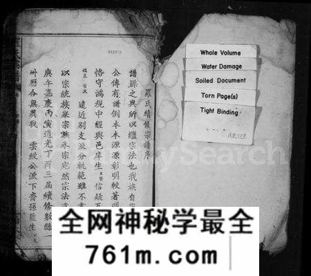 湖北罗氏族谱-罗氏宗谱(罗氏族修宗谱).pdf电子版