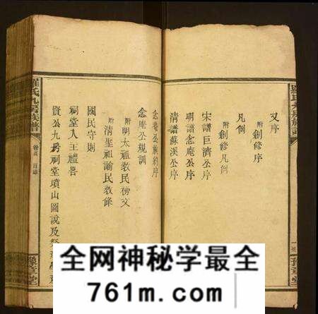 湖南罗氏族谱-罗氏九房族谱.pdf电子版