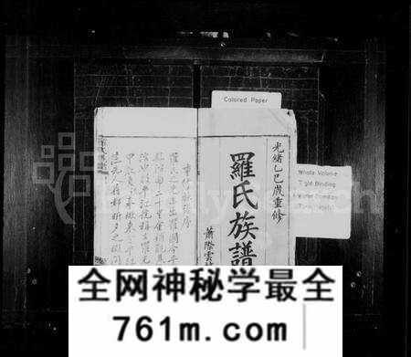 湖南罗氏族谱-罗氏族谱 [17卷,首1卷,附祠谱2卷,首1卷].pdf电子版