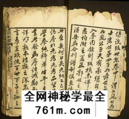 湖北杜氏族谱-杜氏族谱.pdf电子版