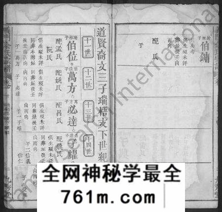 湖北佘氏族谱-义门佘氏宗谱 [10卷,含卷首](别名：佘氏宗谱).pdf电子版