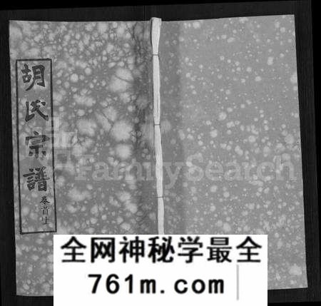 湖北胡氏族谱-胡氏宗谱 [9卷,首4卷].pdf电子版