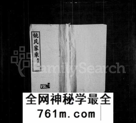湖北姚氏族谱-姚氏支谱 [12卷](别名：楚黄姚氏支谱、姚氏家乘).pdf电子版