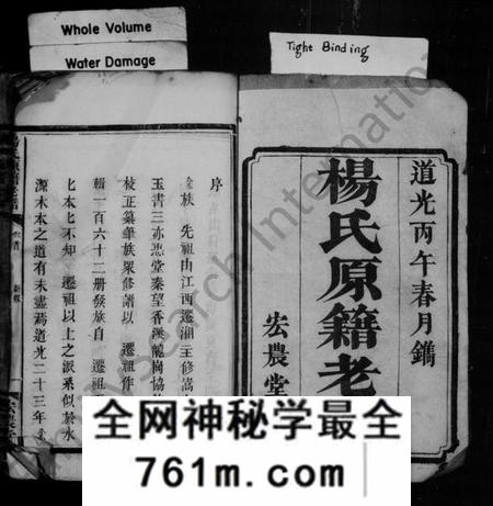 湖南杨氏族谱-杨氏原籍老谱 [卷数杂异].pdf电子版