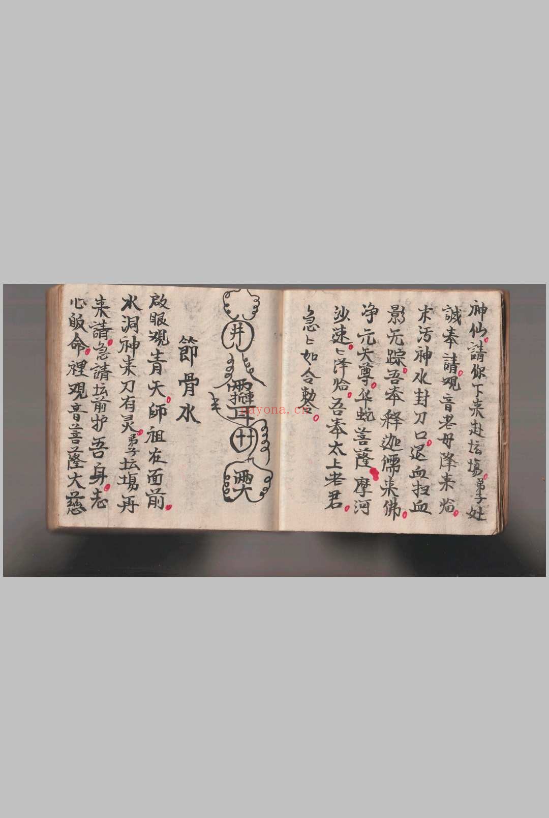 《灵仙神》水师自记