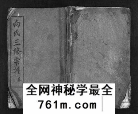 湖北向氏族谱-向氏三修宗谱 [10卷,首8卷](别名：Xiang Shi San Xiu Zong Pu).pdf电子版