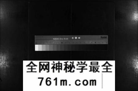 湖南蒋氏族谱-三吾蒋氏宗谱 [11卷].pdf电子版