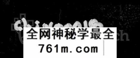 湖南张氏族谱-醴南楚东桥张氏家谱.pdf电子版