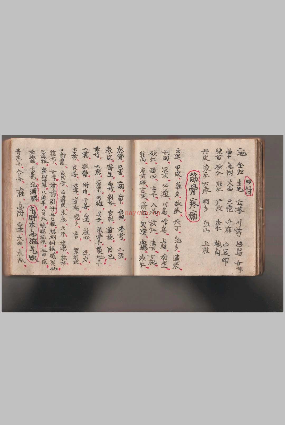 《灵仙神》水师自记