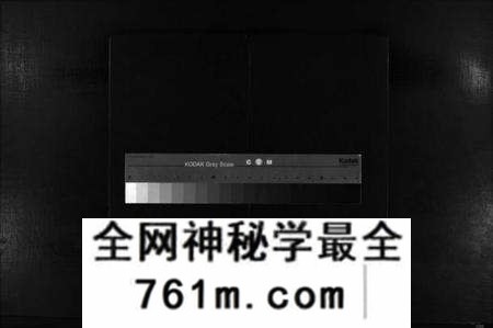 浙江林氏族谱-林氏大宗谱 [不分卷].pdf电子版