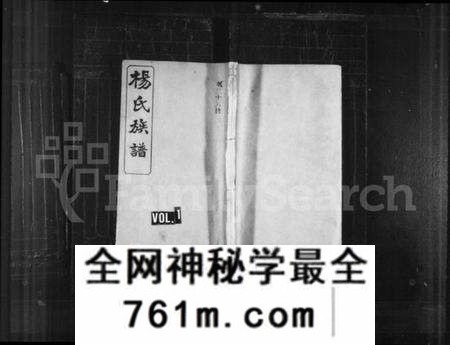 湖南杨氏族谱-杨氏族谱 [共52卷].pdf电子版