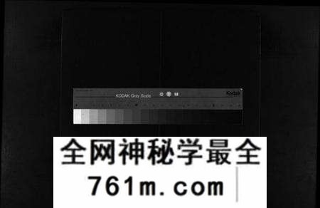 浙江郑氏族谱-壕头郑氏族谱 [残卷].pdf电子版
