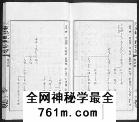 江苏王氏族谱-王氏西沙支谱旺家(土夅)宗谱 [不分卷](别名：旺家(土夅)王氏宗谱).pdf电子版