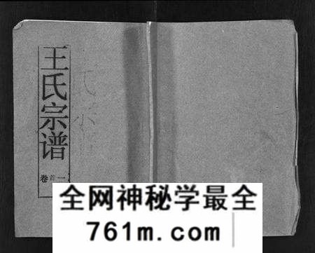 湖北王氏族谱-王氏宗谱 [12卷,首3卷](别名：Wang Shi Zong Pu).pdf电子版