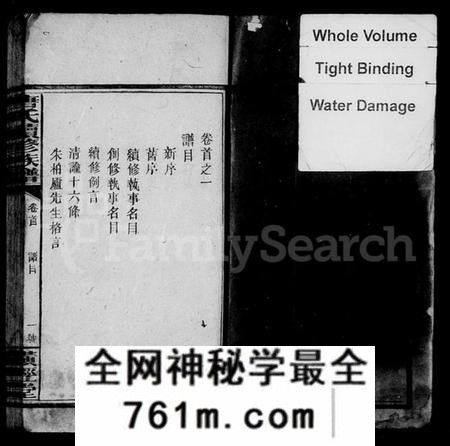 湖南唐氏族谱-唐氏续修族谱.pdf电子版