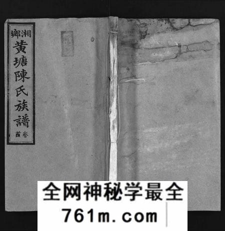 湖南陈氏族谱-湘乡黄塘陈氏族谱 [29卷,含首2卷].pdf电子版