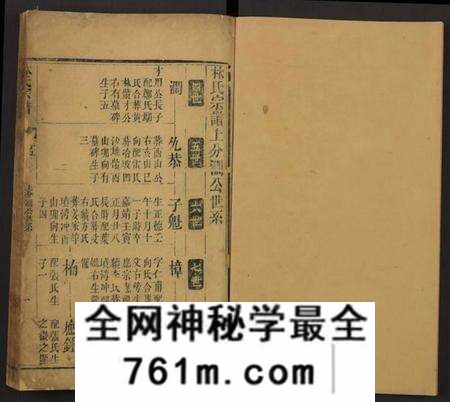 湖北林氏族谱-林氏宗谱[残卷](别名：Lin Shi Zong Pu).pdf电子版