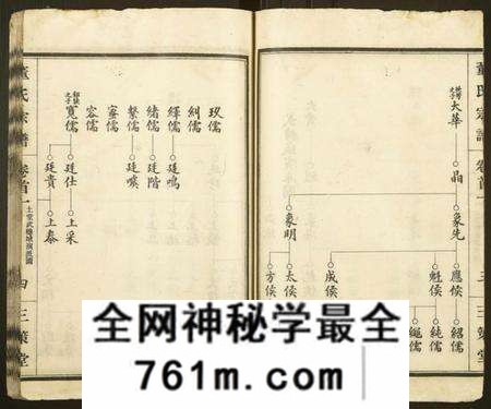 湖北董氏族谱-董氏宗谱 [总卷数不详](别名：Dong Shi Zong Pu).pdf电子版