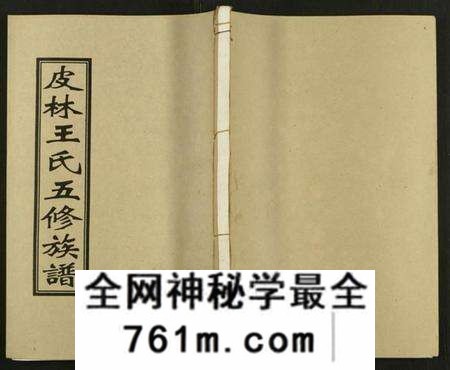 湖南王氏族谱-皮林王氏五修族谱 [26卷].pdf电子版