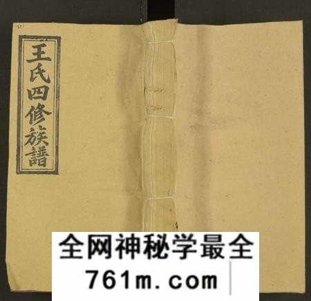 湖南王氏族谱-王氏四修族谱 [53卷,首3卷].pdf电子版