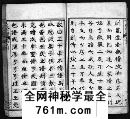 湖北王氏族谱-王氏宗谱[13卷,首3卷](别名：Wong Shi Zu Pu).pdf电子版