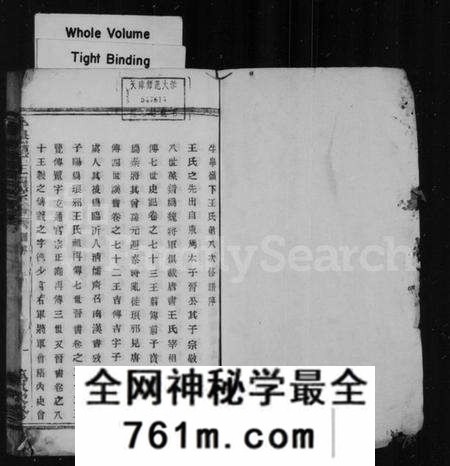 浙江王氏族谱-牛皋岭下王氏宗谱.pdf电子版