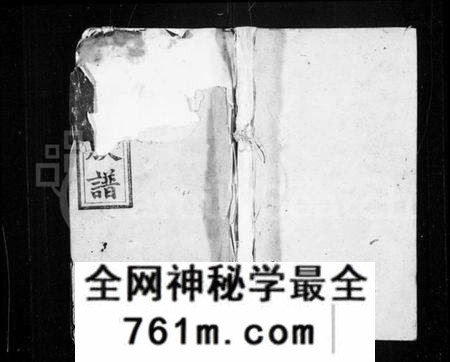 湖南姚氏族谱-姚氏族谱 [28卷,首3卷].pdf电子版