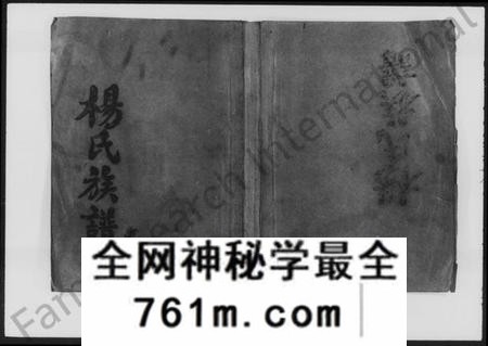 湖南杨氏族谱-杨氏族谱 [42卷,首4卷].pdf电子版