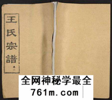 湖北王氏族谱-王氏支谱 [16卷](别名：王氏宗谱、王氏宗谱).pdf电子版