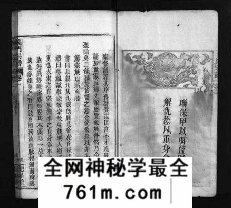 湖北陈氏族谱-义门陈氏宗谱 [12卷](别名：陈氏家乘、Yi Men Chen Shi Zong Pu、义门宗谱、义门陈氏宗谱).pdf电子版