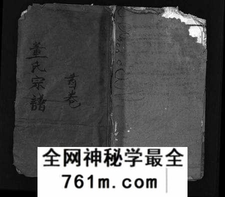 湖北董氏族谱-董氏宗谱 [9卷,首1卷](别名：Dong Shi Zong Pu).pdf电子版