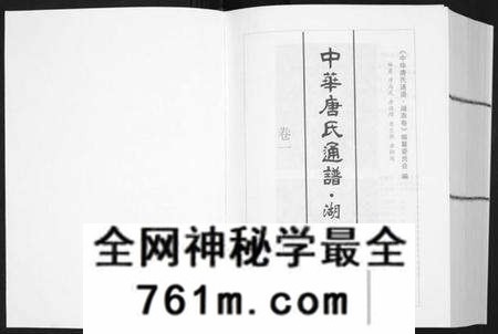 湖南唐氏族谱-中华唐氏通谱.湖南省卷[3卷].pdf电子版