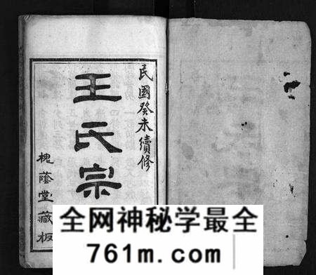湖北王氏族谱-王氏宗谱 [8卷,首3卷](别名：Wang Shi Zong Pu).pdf电子版